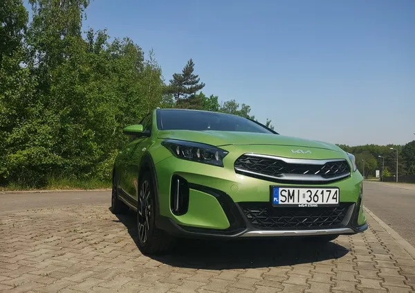 kia xceed Kia XCeed cena 102000 przebieg: 13124, rok produkcji 2023 z Zbąszynek